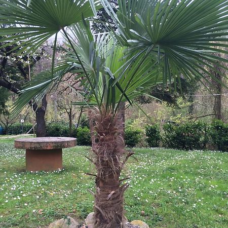 Locanda Irene Monte San Pietro Bagian luar foto