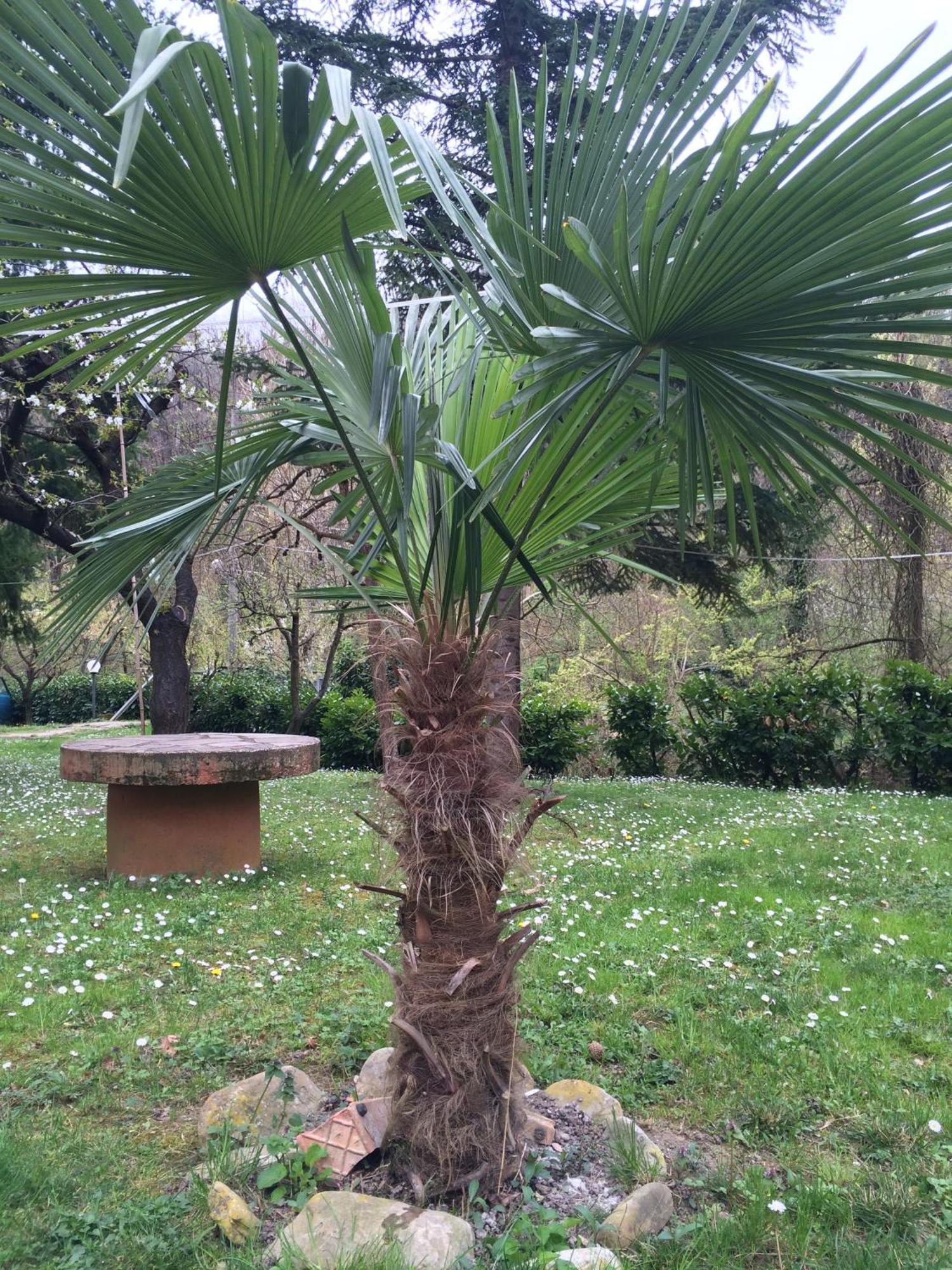 Locanda Irene Monte San Pietro Bagian luar foto